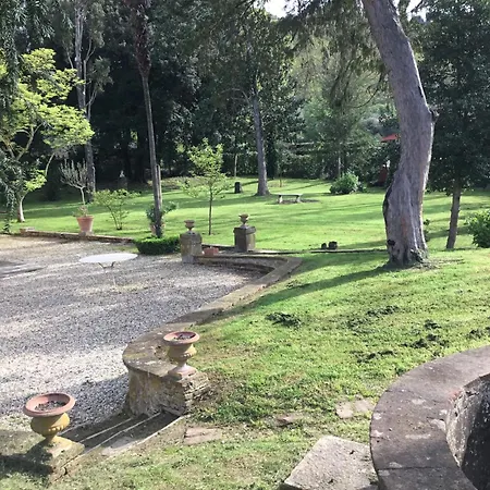 Tambellini De Fondra *